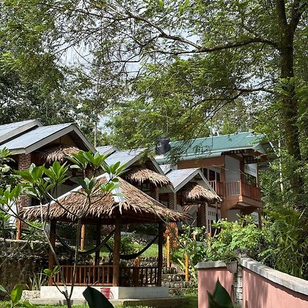 Asim Paris Guesthouse & Jungle Trekking Bukit Lawang Ngoại thất bức ảnh