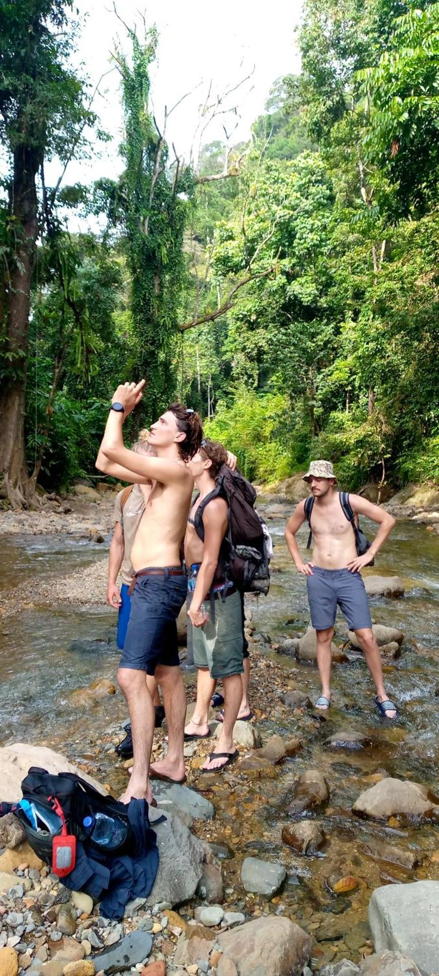 Asim Paris Guesthouse & Jungle Trekking Bukit Lawang Ngoại thất bức ảnh