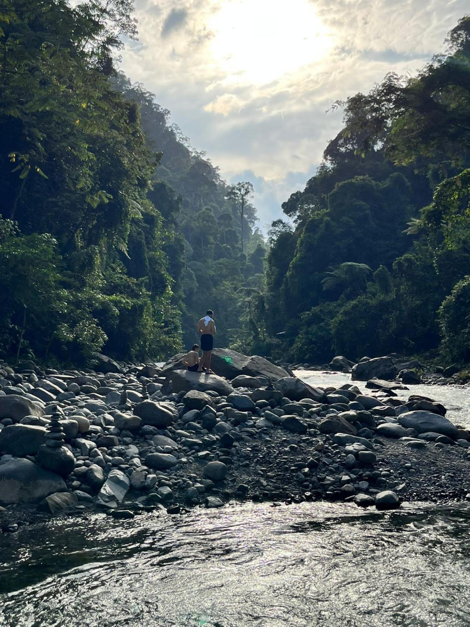 Asim Paris Guesthouse & Jungle Trekking Bukit Lawang Ngoại thất bức ảnh