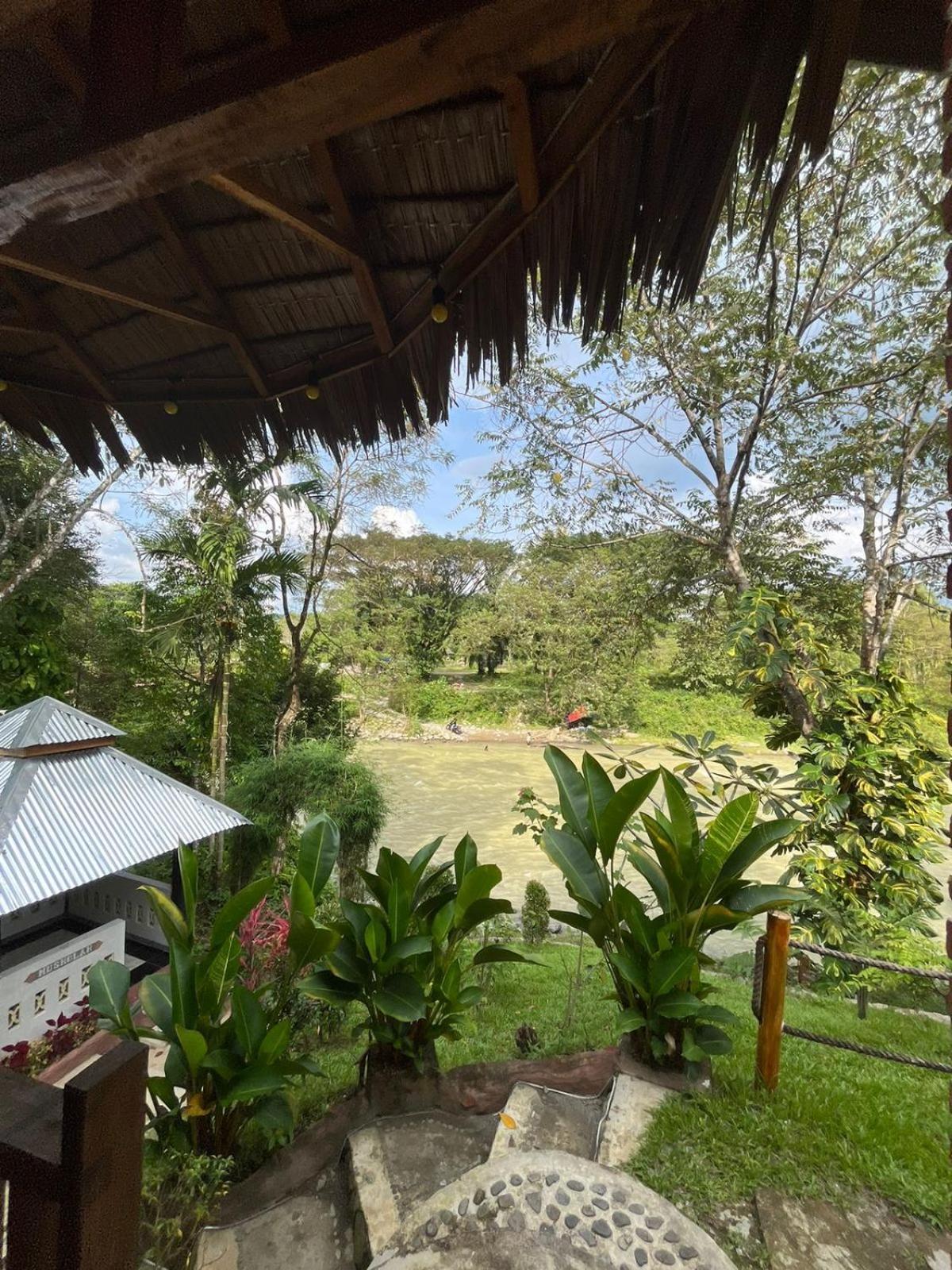 Asim Paris Guesthouse & Jungle Trekking Bukit Lawang Ngoại thất bức ảnh