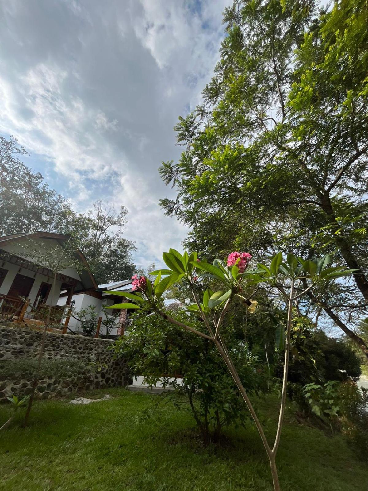 Asim Paris Guesthouse & Jungle Trekking Bukit Lawang Ngoại thất bức ảnh