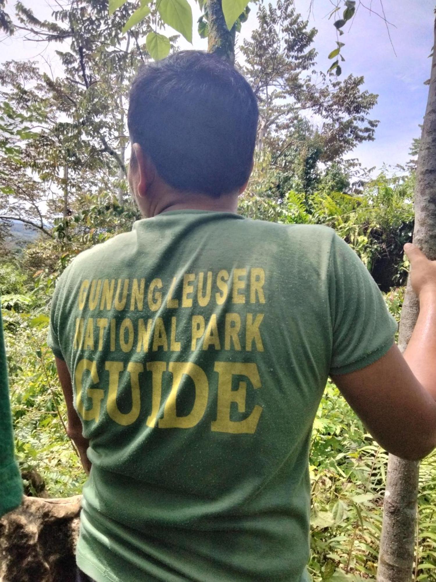 Asim Paris Guesthouse & Jungle Trekking Bukit Lawang Ngoại thất bức ảnh
