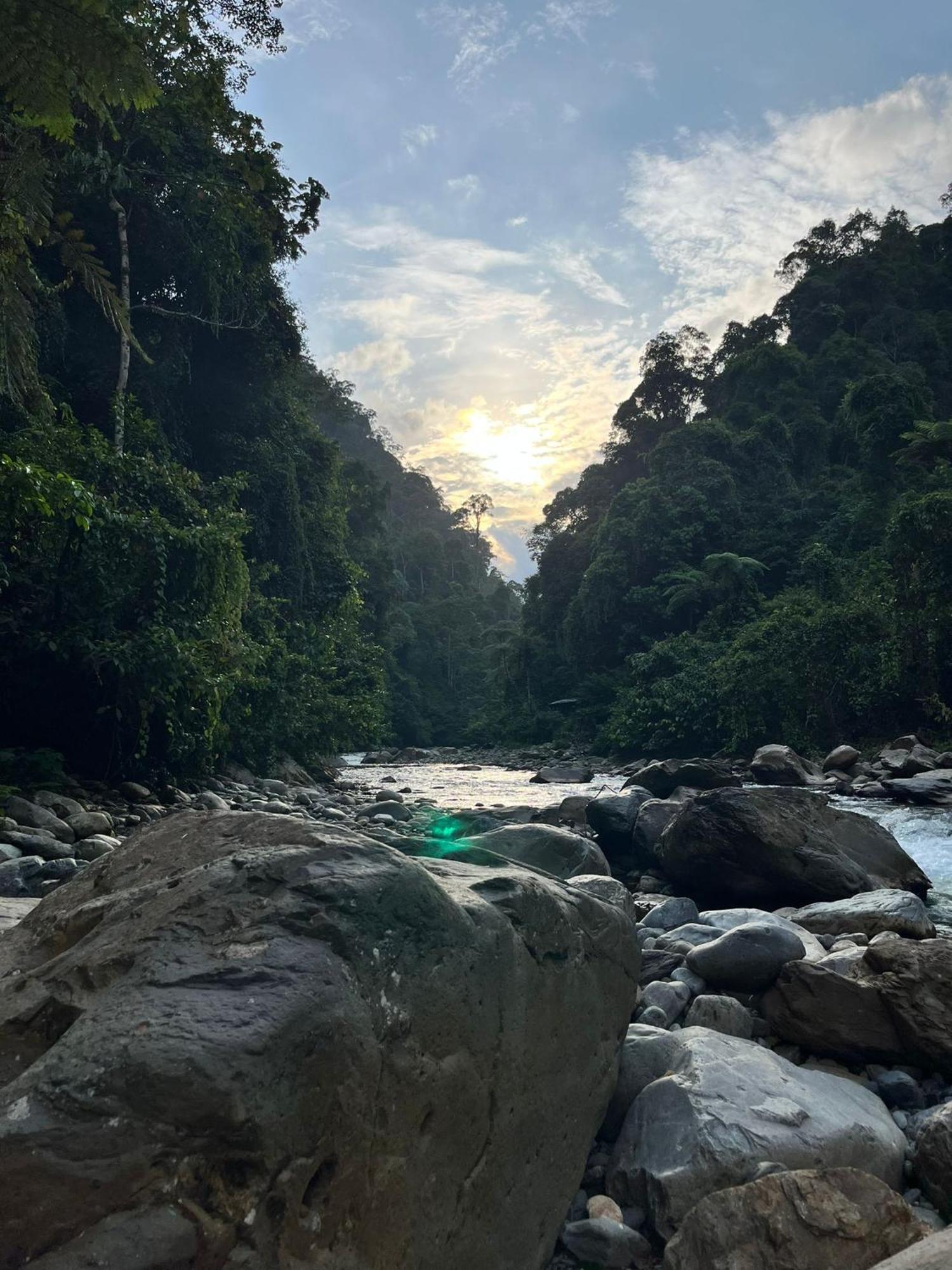 Asim Paris Guesthouse & Jungle Trekking Bukit Lawang Ngoại thất bức ảnh