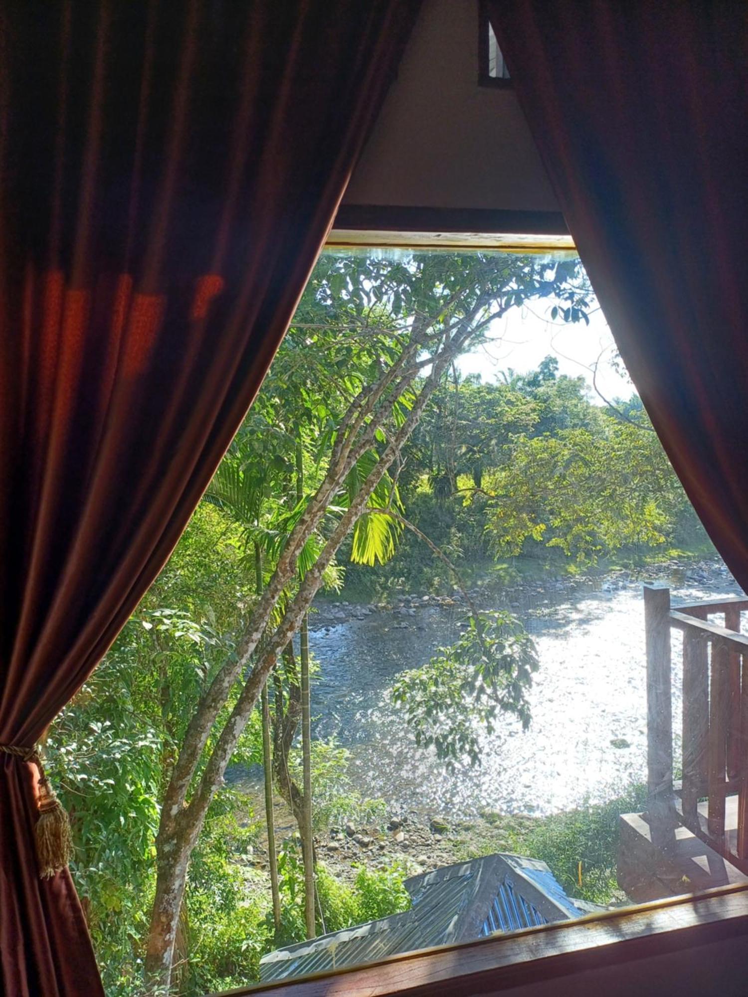Asim Paris Guesthouse & Jungle Trekking Bukit Lawang Ngoại thất bức ảnh