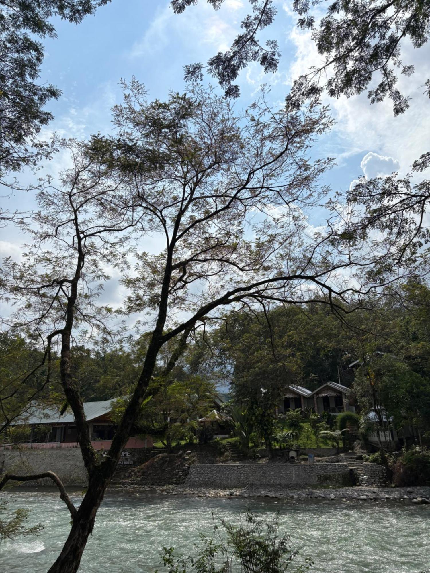Asim Paris Guesthouse & Jungle Trekking Bukit Lawang Ngoại thất bức ảnh
