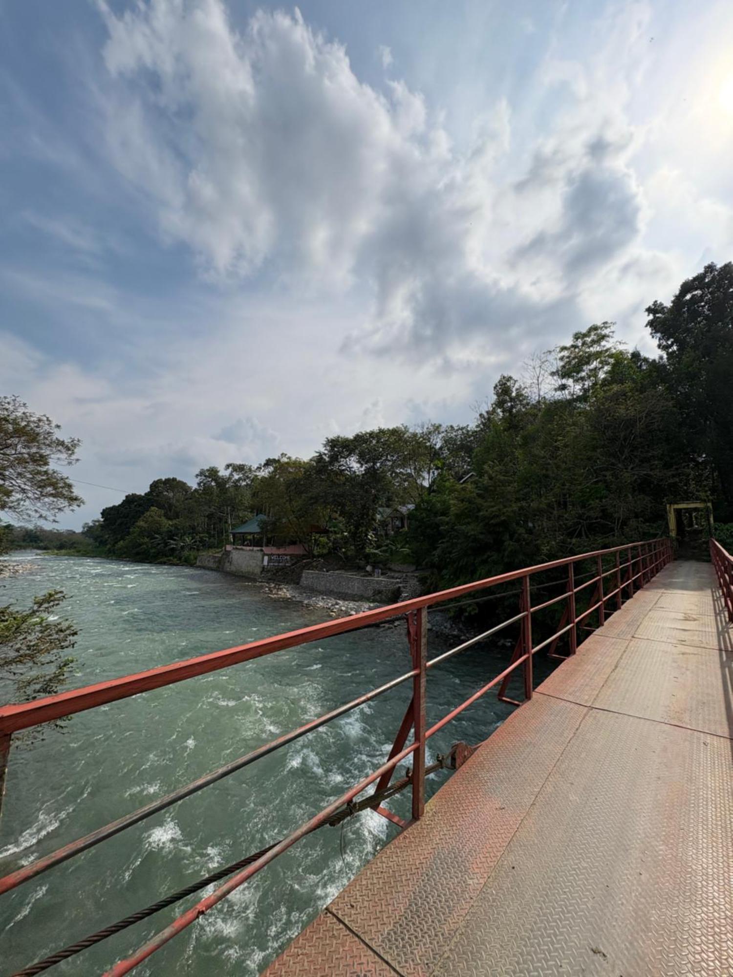 Asim Paris Guesthouse & Jungle Trekking Bukit Lawang Ngoại thất bức ảnh