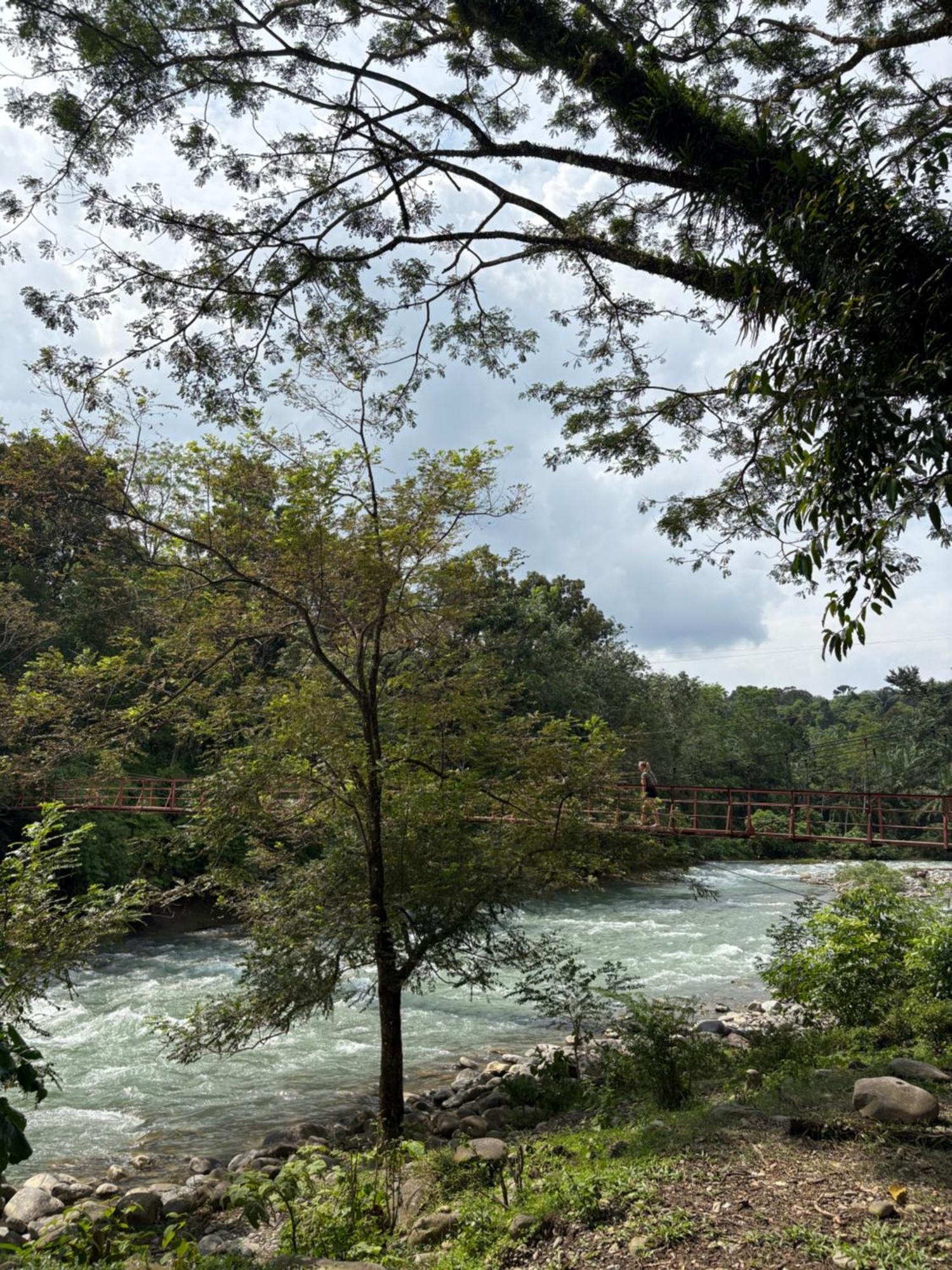 Asim Paris Guesthouse & Jungle Trekking Bukit Lawang Ngoại thất bức ảnh